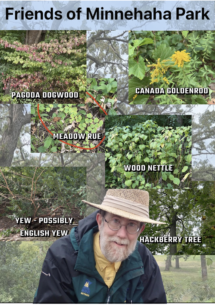 37 Nature